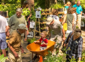 Fall Plant Sale; Photo by Eric Weir