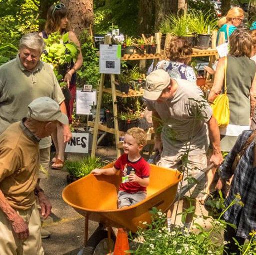 Fall Plant Sale; Photo by Eric Weir